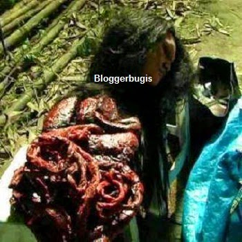 gambar parakang gambar parakang