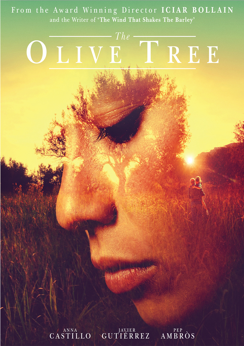 The Olive Tree 2016