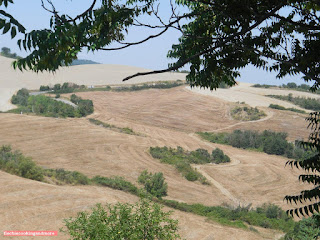 fischiscooking, san gimignano fischiscooking, san gimignano