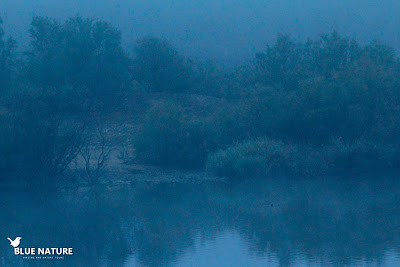 Aspecto del humedal a primera hora de la mañana. La niebla no deja ver nada.