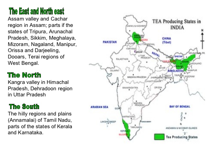 kmhouseindia India's Tea output at record high in 2016