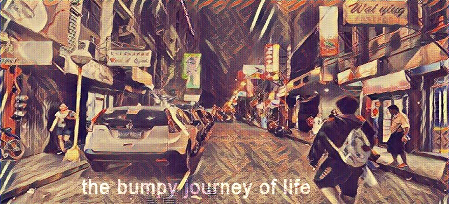 the bumpy journey of life