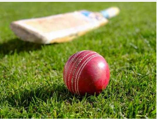 Tolerance Cricket League. Announcements of 204 players