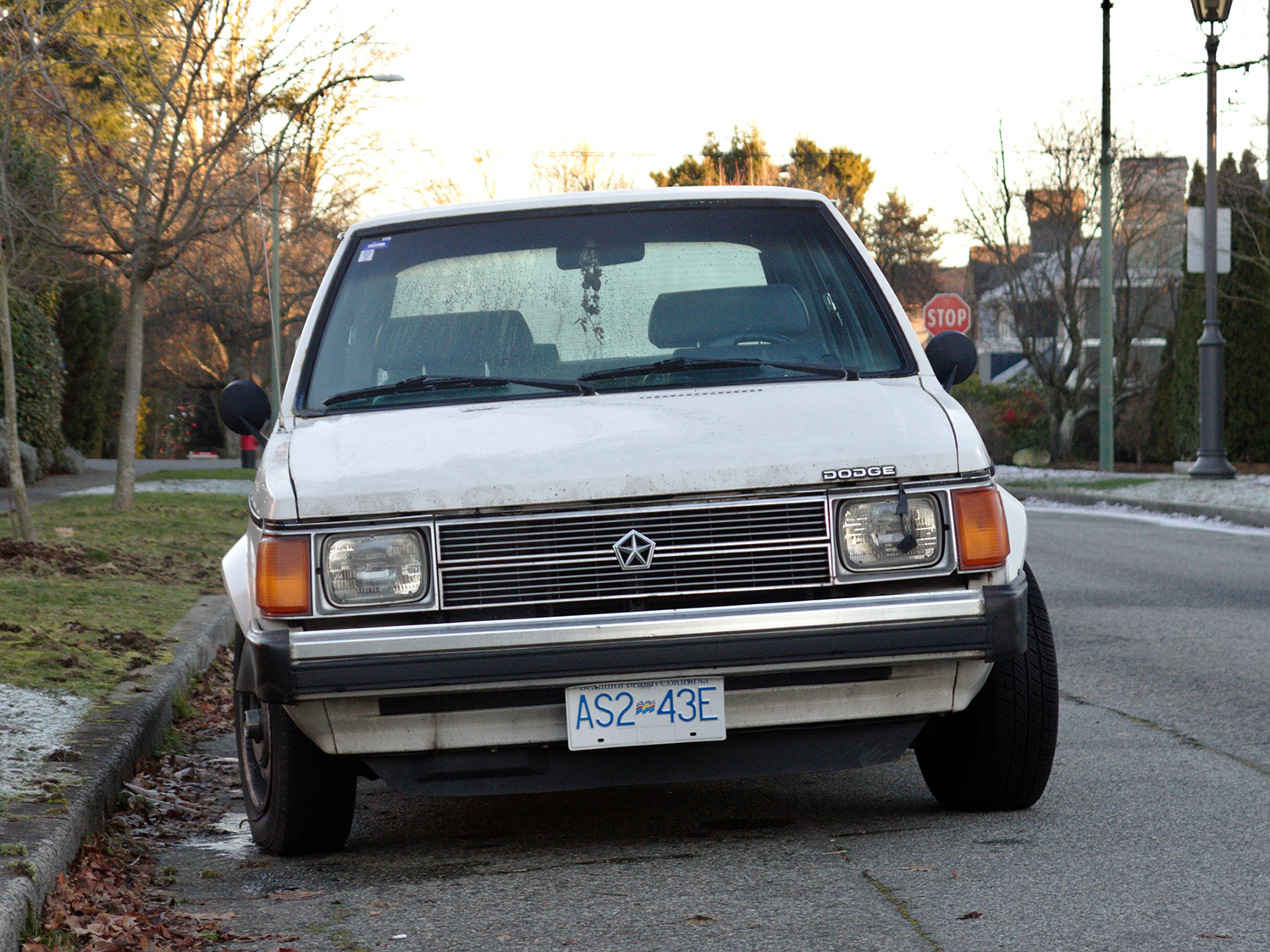 Old Parked Cars Vancouver 1989 Dodge Omni