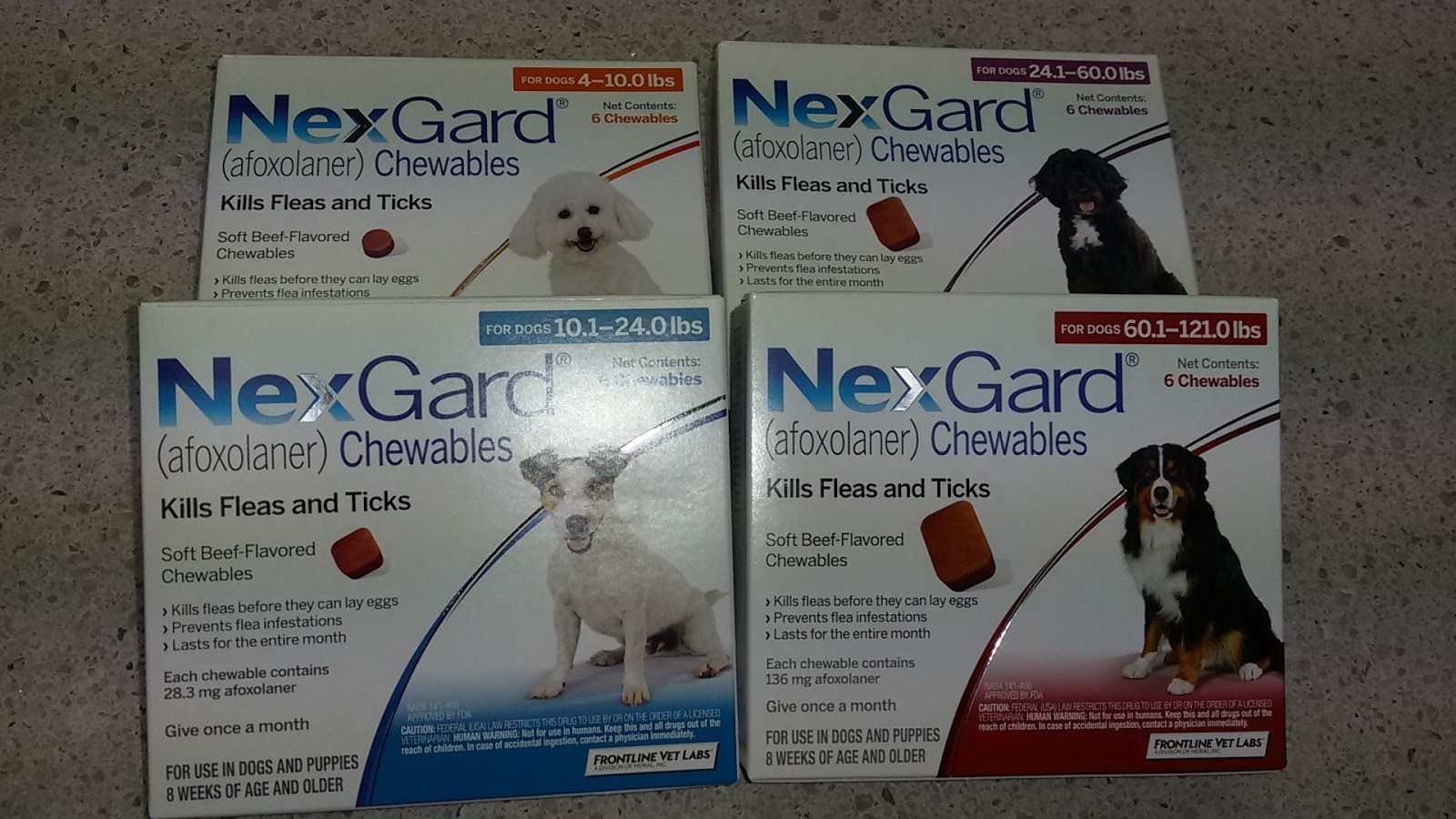 White House Animal Hospital Blog Tips for Safe Flea Prevention!