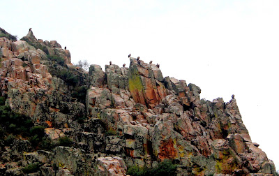 Mirador Portillo del Tiétar. Monfragüe. Cáceres