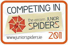 Junior Spider internet awards
