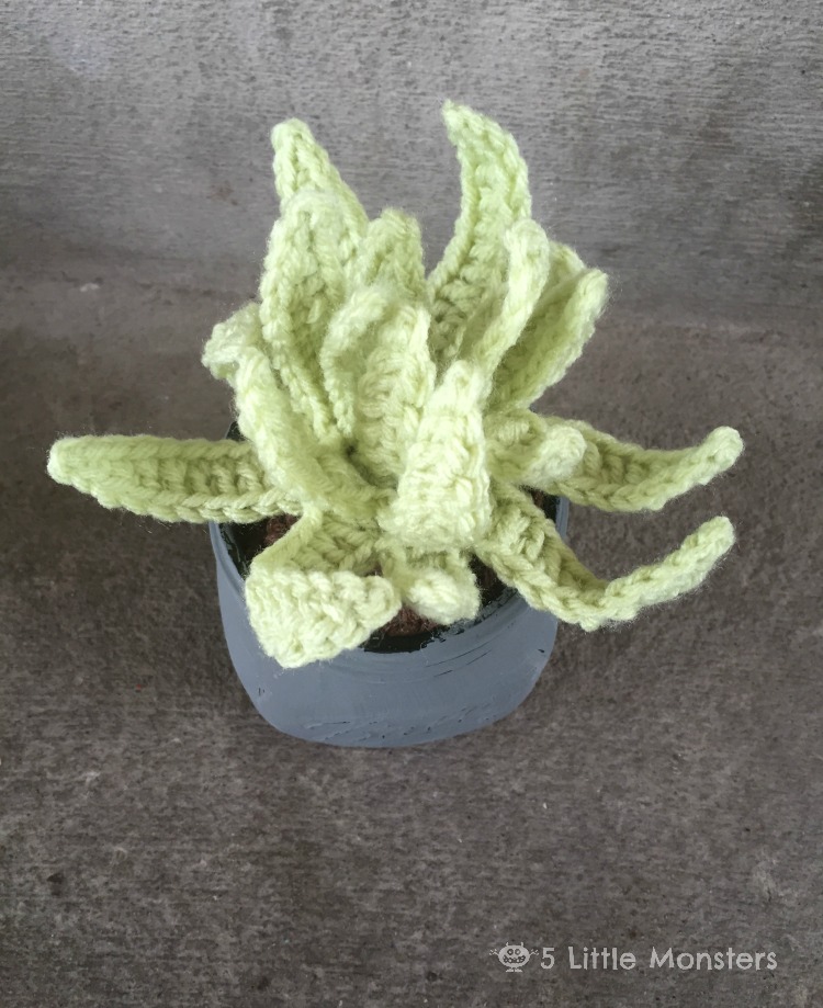 5-little-monsters-crochet-succulents-in-painted-mason-jars