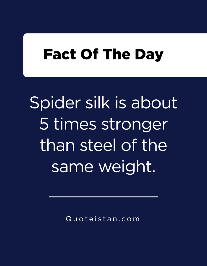 Spider silk is about 5 times stronger than steel of the same weight.