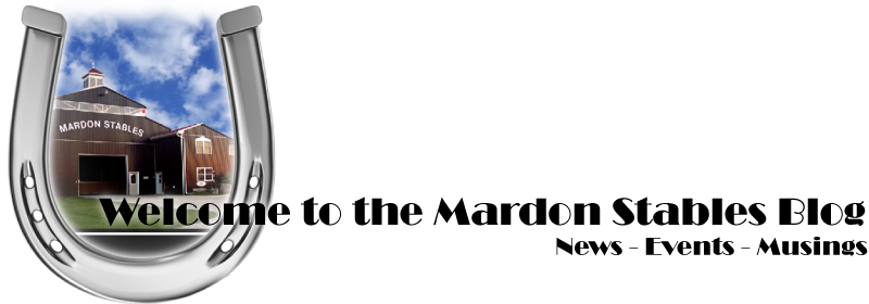 Mardon Stables News!