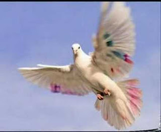 https://aynahikayesi.blogspot.com.tr/ https://aynahikayesi.blogspot.com.tr/