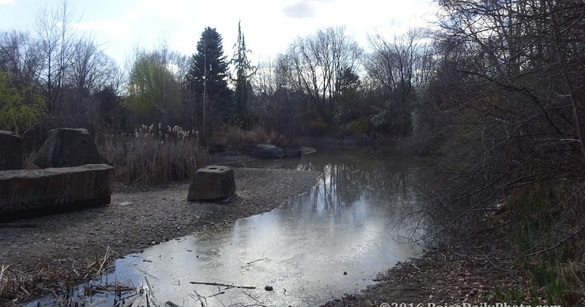 Boise Daily Photo Albertson Park pond