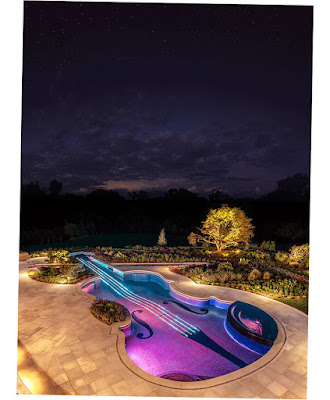 Image of Award Winning Stradivarius Violin Pool Cipriano Landscape Design Nj