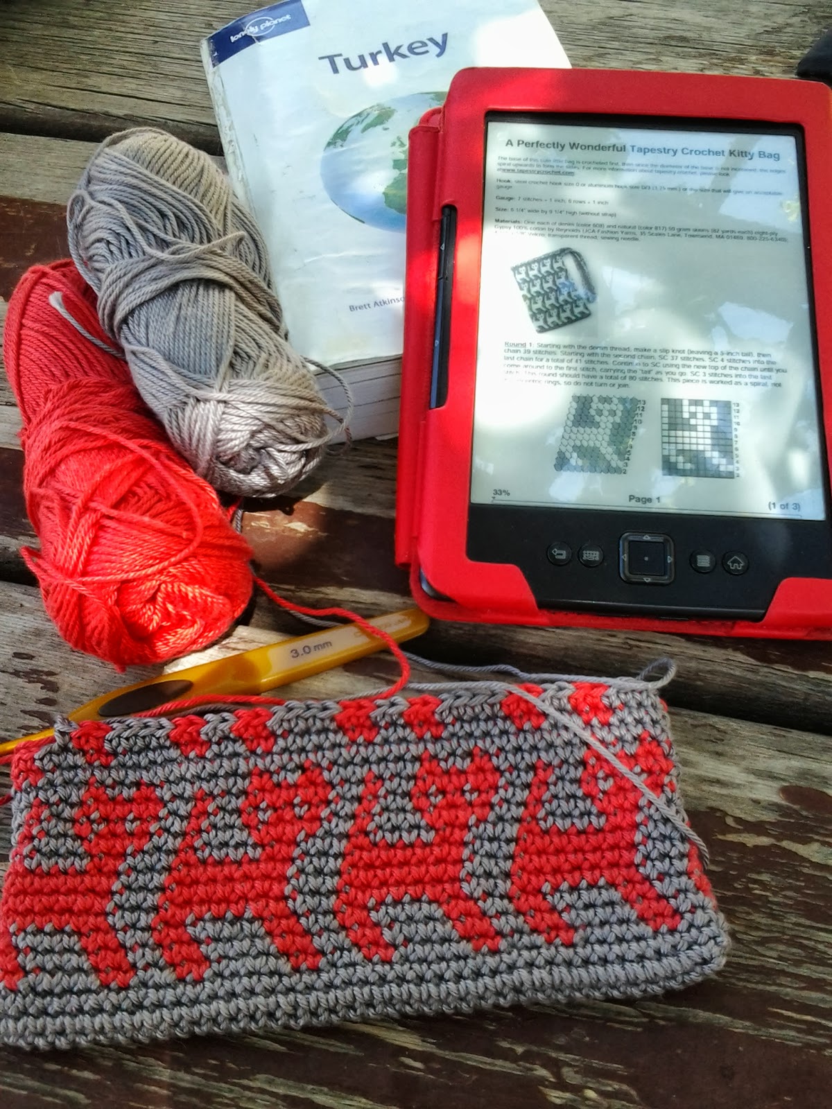 ReEnganchada Tapestry Crochet Kitty Bag Jackard en ganchillo para