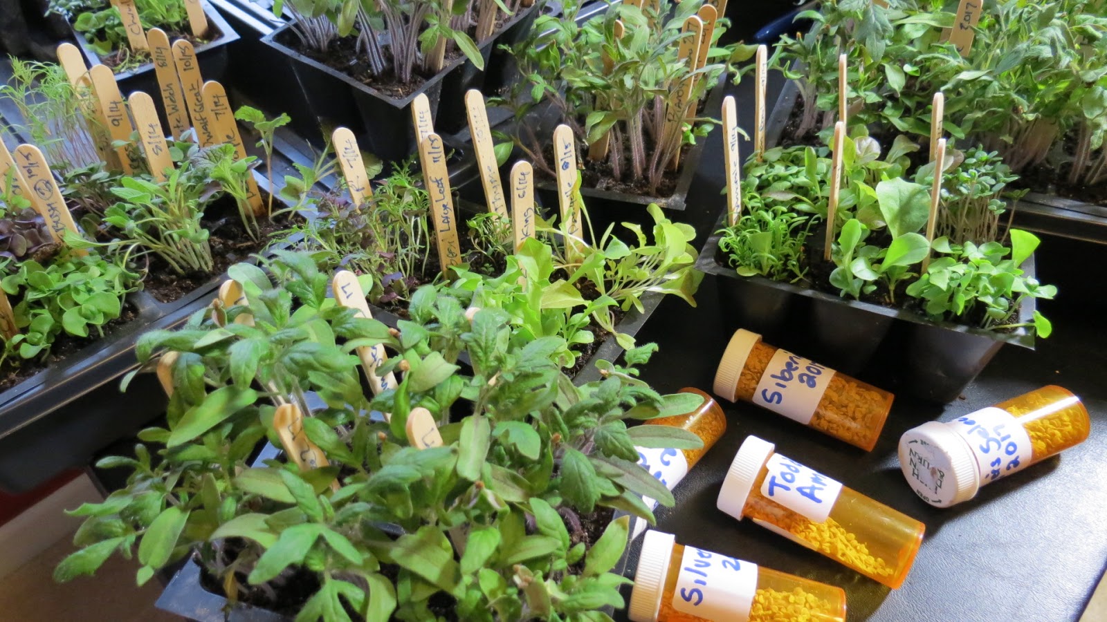 The Rusted Vegetable Garden