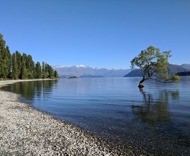 Lake Wanaka Lake Wanaka, diamond lake wanaka, rotorua, lake wanaka resort, queenstown, wanaka, wanaka new zealand, lake wanaka new zealand, wanaka tree, wanaka to queenstown,