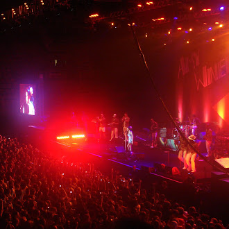 Show: Amy Winehouse, no HSBC Arena (Rio de Janeiro, 2011)