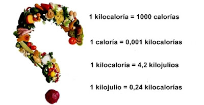 Caloría kilocaloría caloría son lo mismo Diferencias kilocaloría Caloría caloría