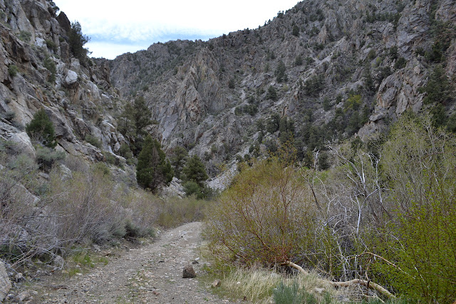looking back and no way out
