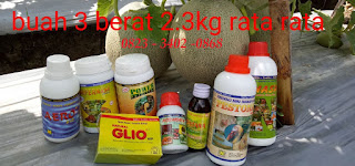 AGEN NASA DI Lengkiti Ogan Komering Ulu - TELF 082334020868 AGEN NASA DI Lengkiti Ogan Komering Ulu - TELF 082334020868
