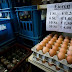 Netherlands found insecticide in eggs in 2016: Belgium