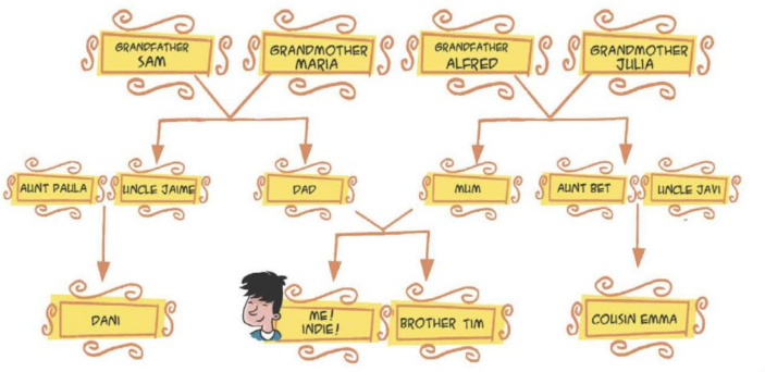 what is a family tree class 3