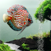 best aquarium screensaver 2016 best aquarium screensaver 2016