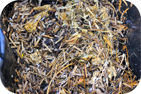 tiny plot: Use A Paper Shredder To Make Compost For Your Garden