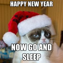 2017 Happy New Year Cat Memes, Funny Pictures To Share 2017 Happy New Year Cat Memes, Funny Pictures To Share