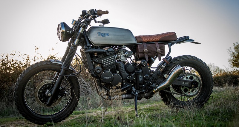 tiger 900 scrambler