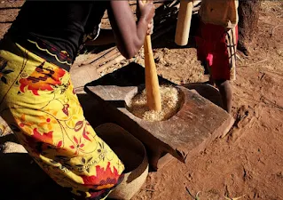 Using a pestle and mortar to prepare a rice meal in Atsimo-Atsinanana the Republic of Madagascar.