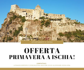 volantino annuncio affitto volantino affitti brevi