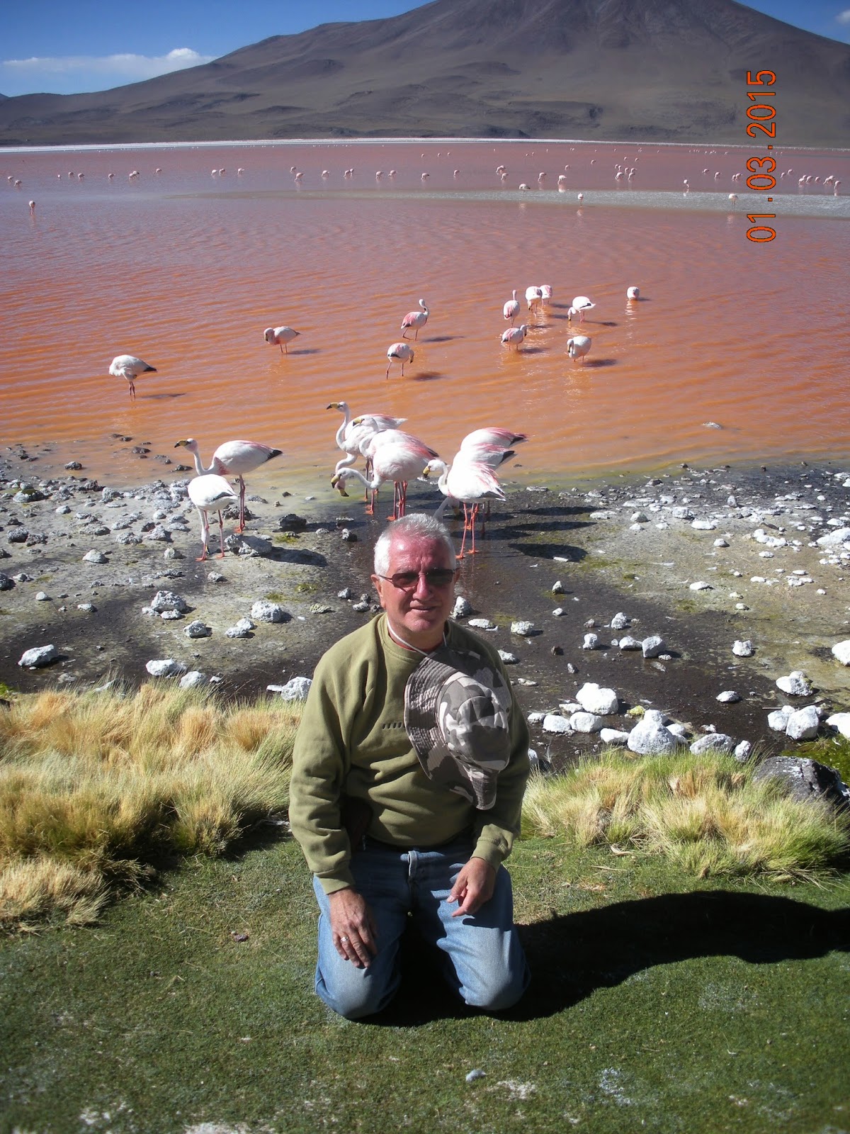 Atacama - Blogs de Bolivia - Atacama/ geyseres y lagunas (5)