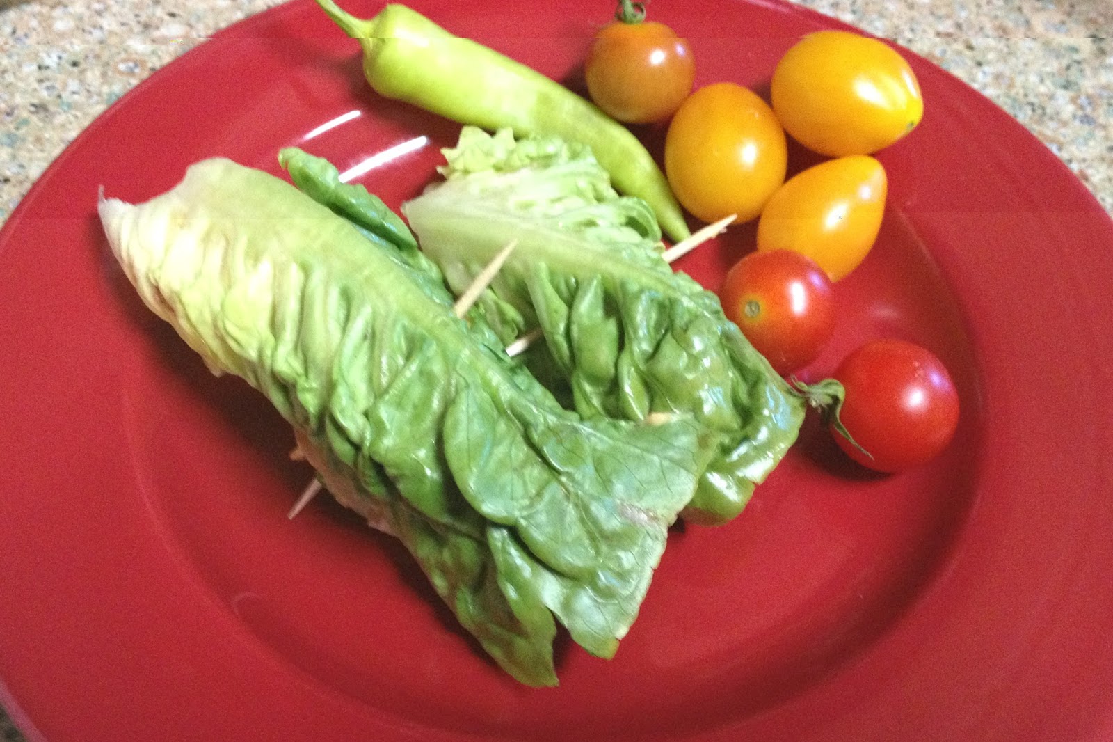 Gateway Bay Colony Chiropractic Healthy Recipe Quick On the Go Lunch