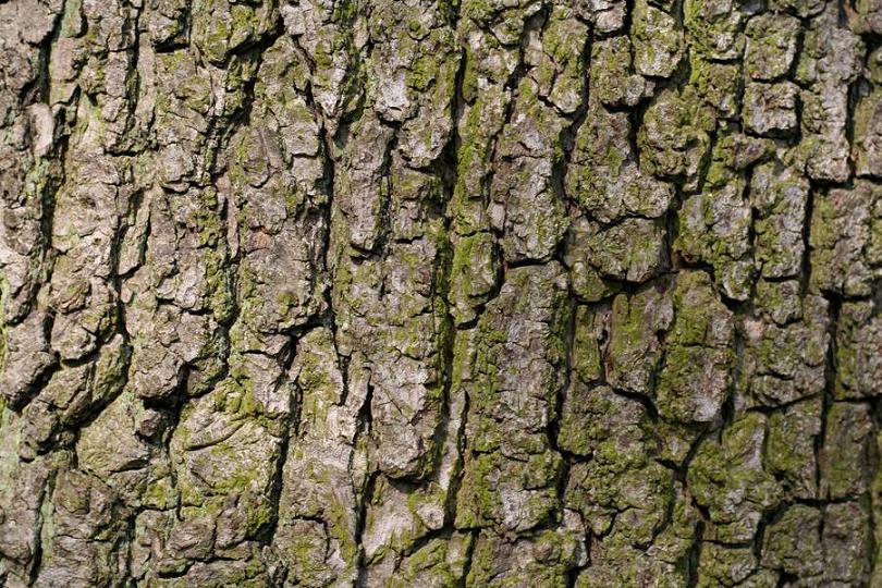 Textura gratuita sites texturas grátis download