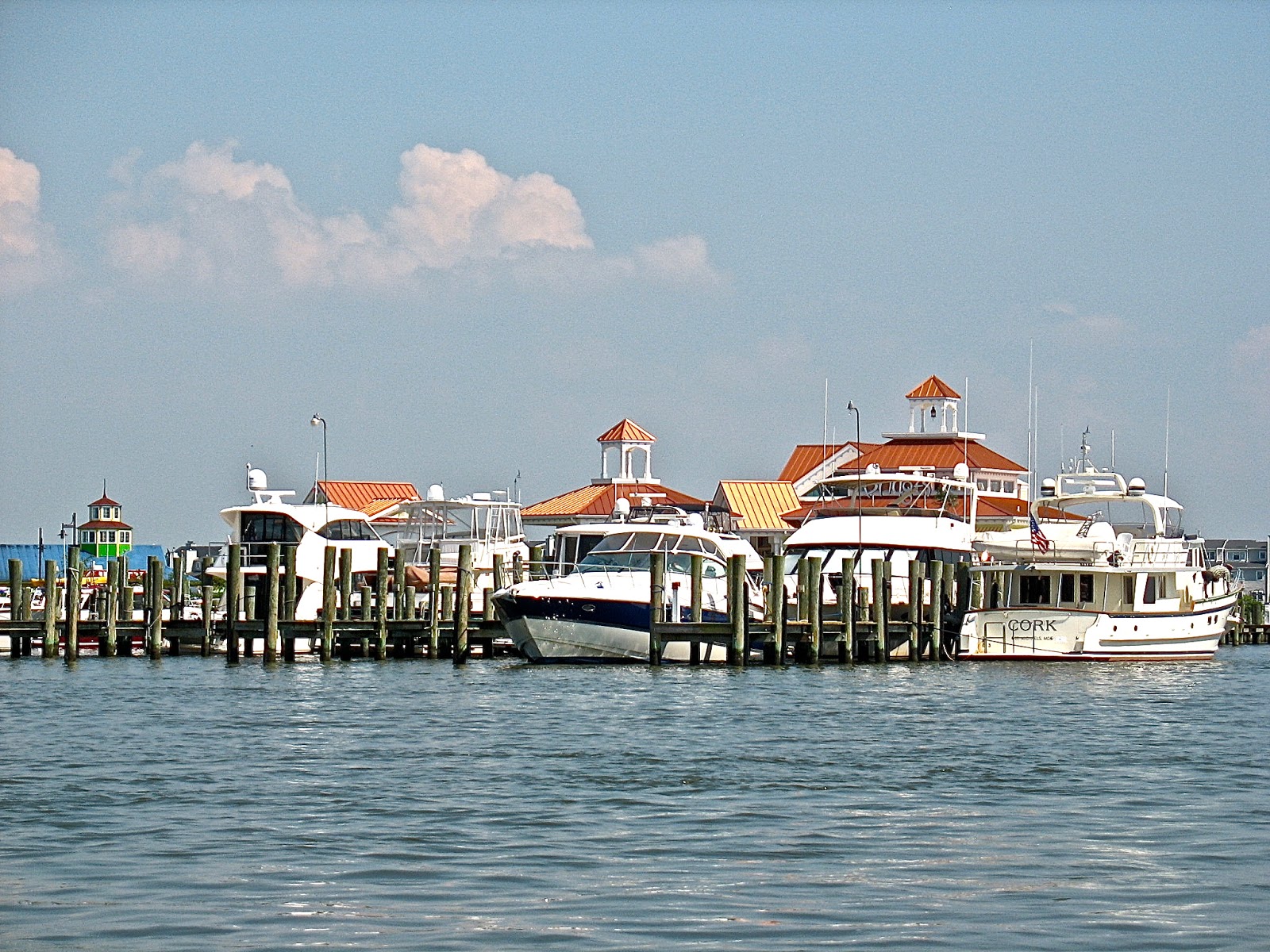 figs flowers food BOATING KENT NARROWS IN SUMMERTIME