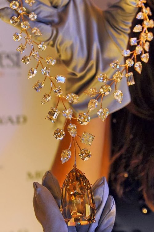 World's Most Expensive Diamond Necklace in priced at 55 million