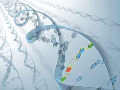 Jenis-jenis Bioteknologi - DDirextory