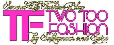 Two Too Fashion 