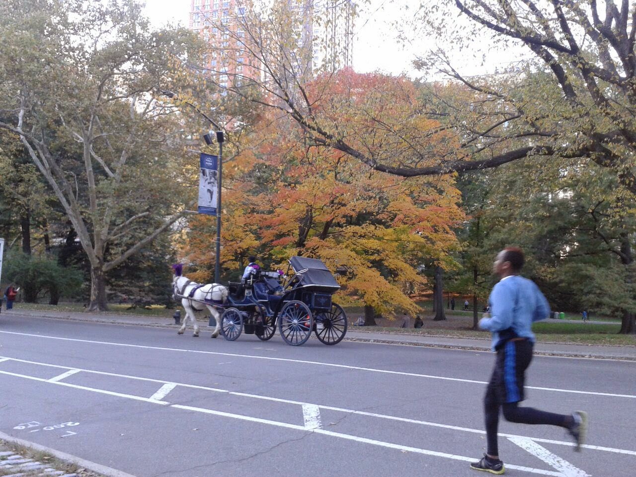 imagen de Carruajes de Central Park durante el otoño