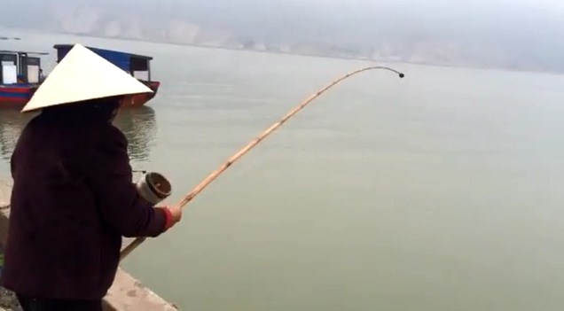 Kinh nghiệm câu cá vào mùa đông