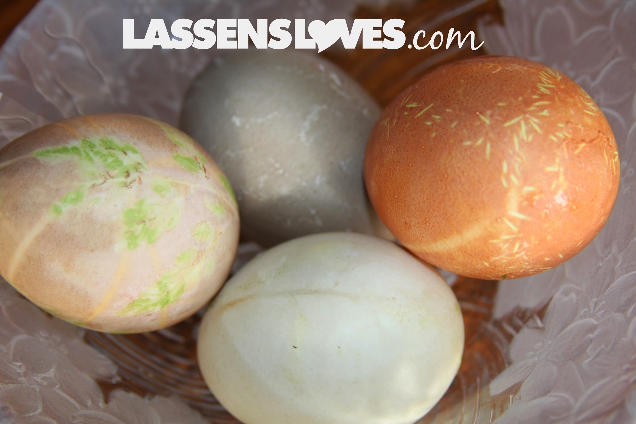 natural+dyeing, easter+eggs, naturally+dye+eggs