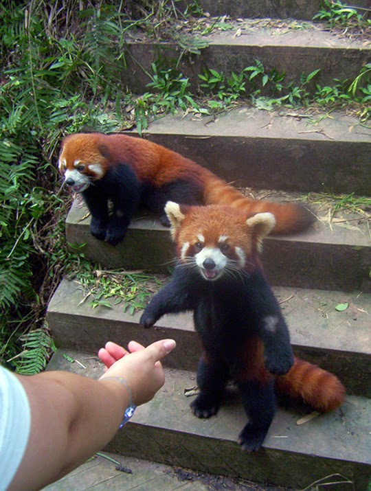 4대천왕.JPG | 인스티즈