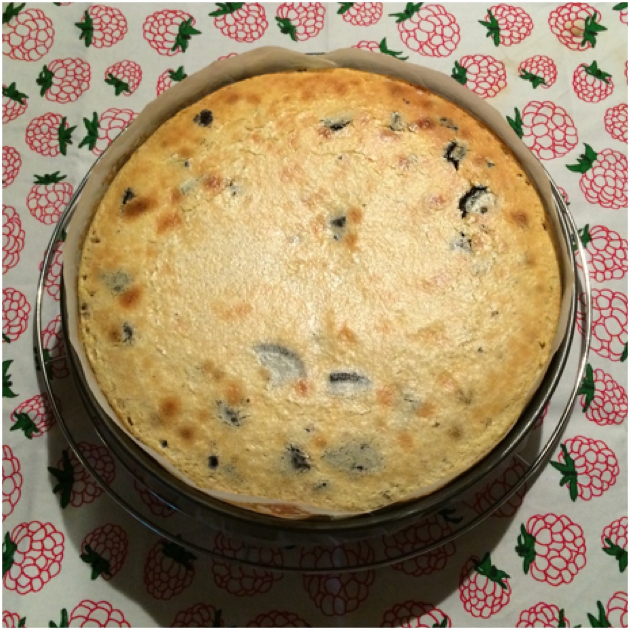 ApfelStrudel Kuchen Oreo Cheesecake {Alma Obregón}