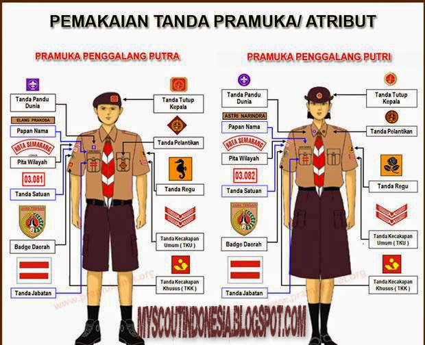 27 Gambar Seragam Pramuka Penggalang Muslim Konsep Terkini