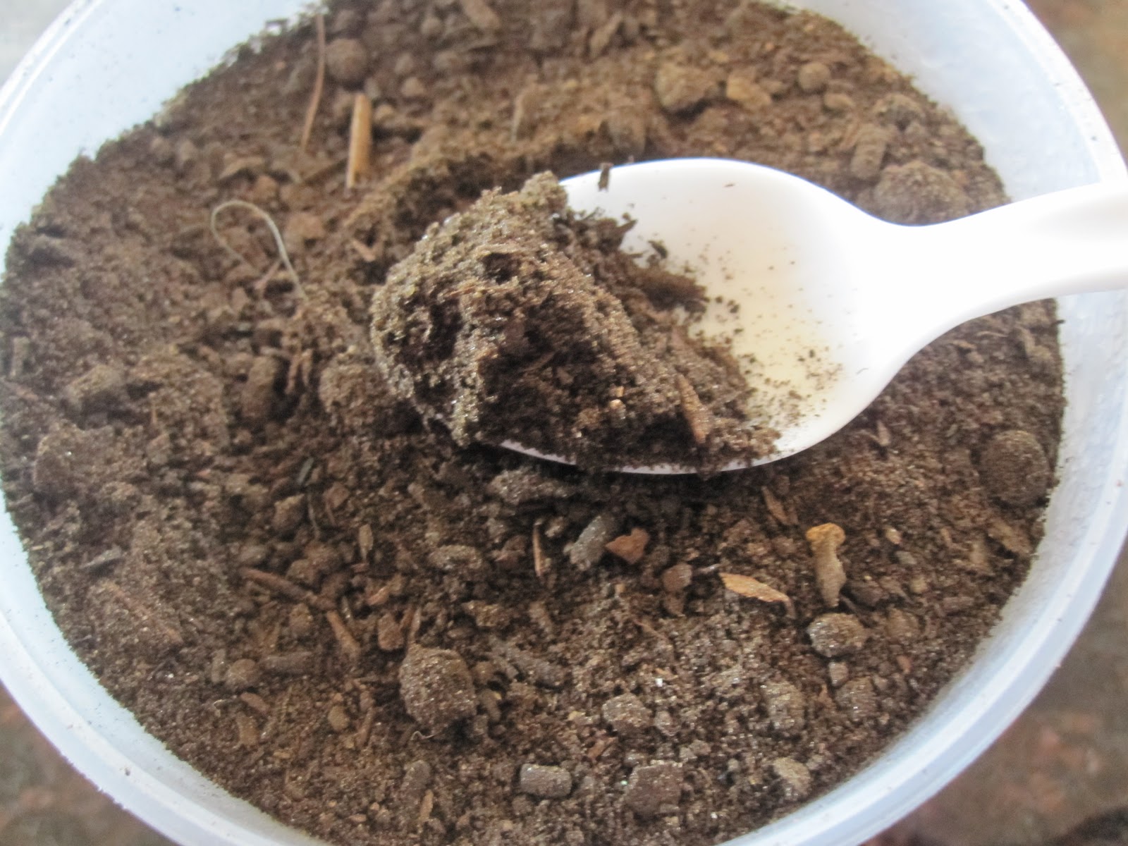 what will help me poop naturally