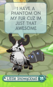 Animal Jam River: Phantom shirts and Glitches