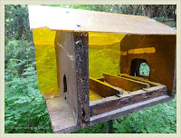 Plexigals-Holz Vogelfutterhaus