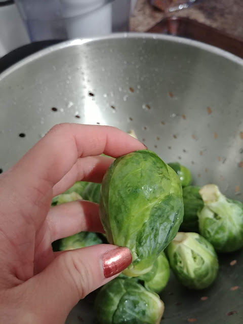 giant brussels sprouts