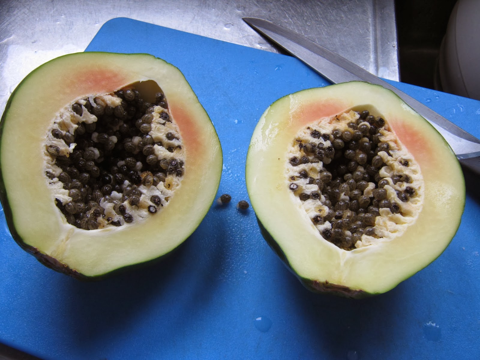 my walk with food and beautiful plants and flowers Green papaya, green